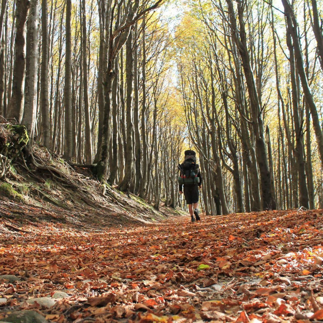 Festival promovira filozofiju usporenih putovanja, putnika koji koriste samo vlastitu snagu, bilo da hodaju, kajakare, bicikliraju ...