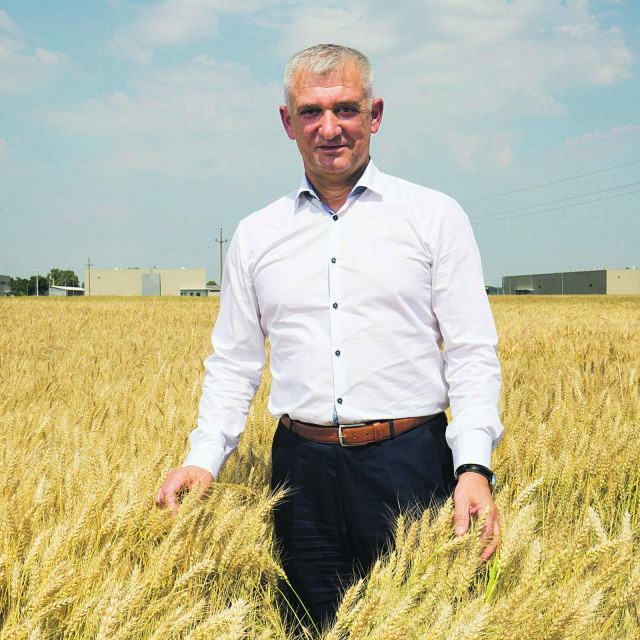 Marko Pipunić