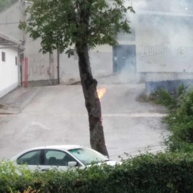 Nevrijeme u Istri, DHMZ