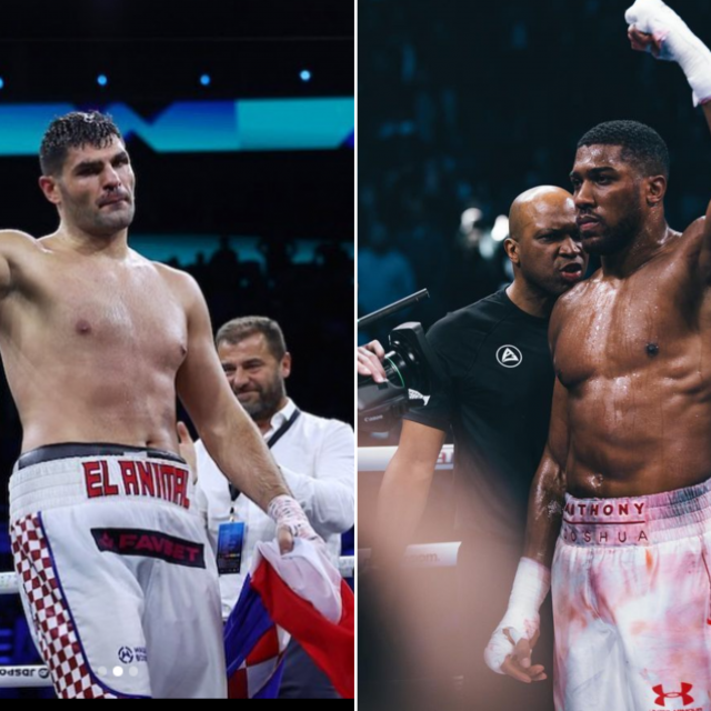 Hrgović i Joshua