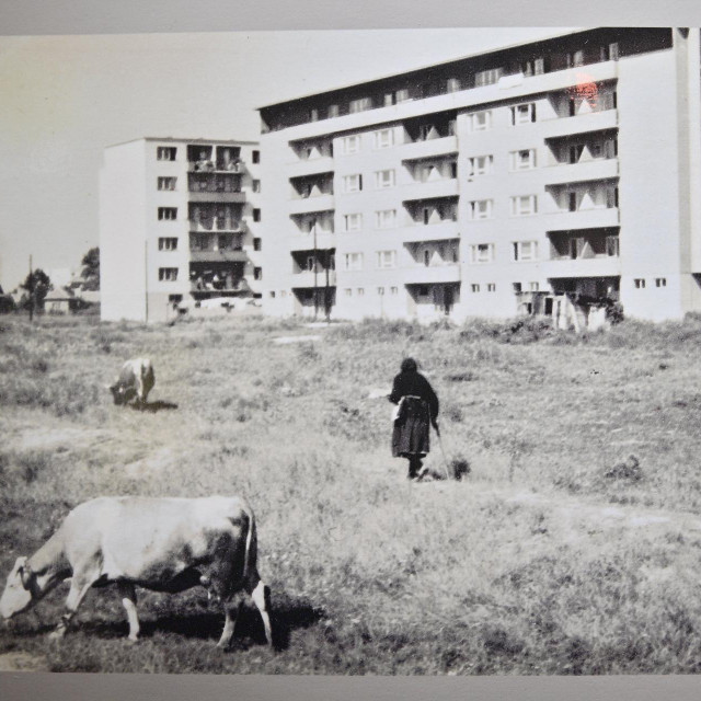 Život na Trnju nekad