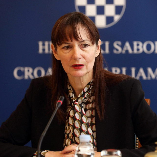 Predsjednica Odbora za obitelj, mlade, i sport Vesna Vučemilović