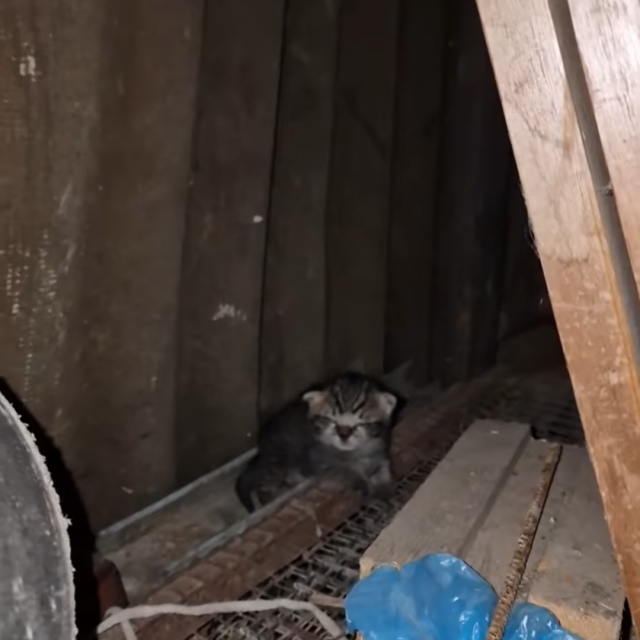 Maleni trenutku pronalaska