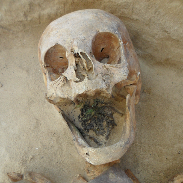 Jedan od kostura navodnih vampira