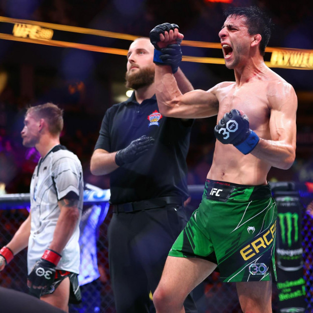  Stephen Erceg vs. David Dvorak