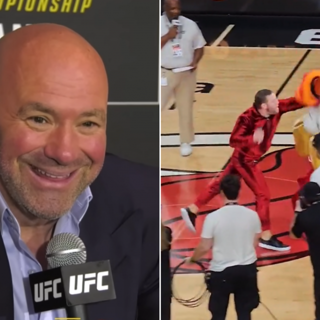 Dana White reakcija