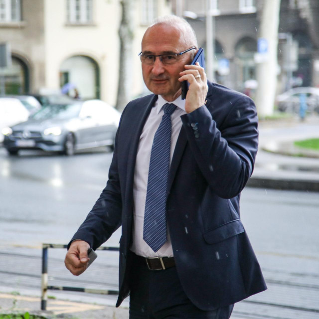 Gordan Grlić Radman