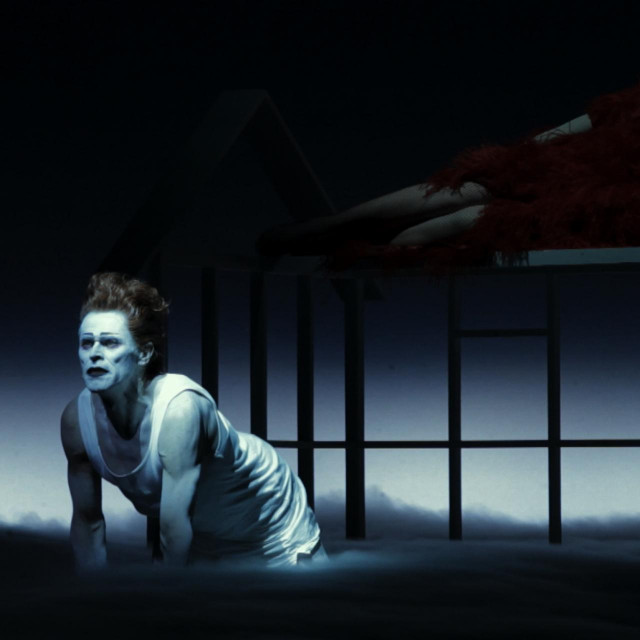 Willem Dafoe, Marina Abramovič, Life & Death of Marina Abramovic (2012)
 