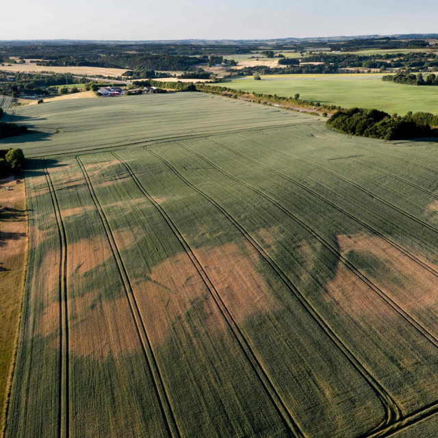 DIjelove polja pogodila je jaka suša u Danskoj
