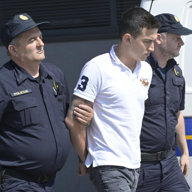 Privođenje Jana Ehrlicha