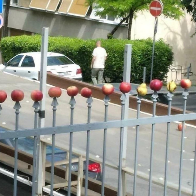 Jabuke i kruške nabijene na ogradu