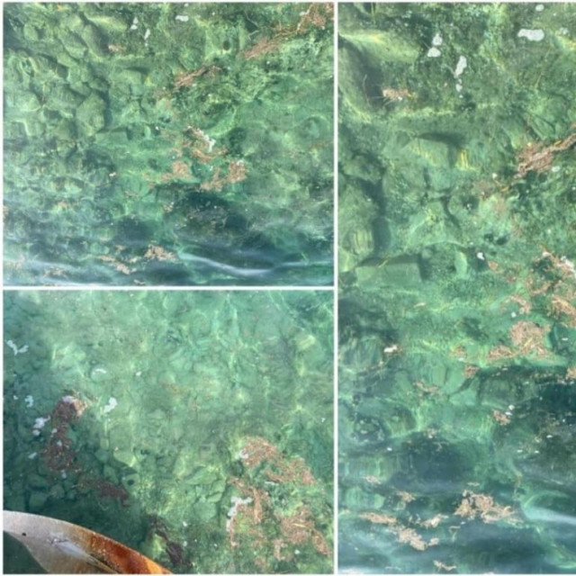 Fekalije u moru na splitskoj plaži