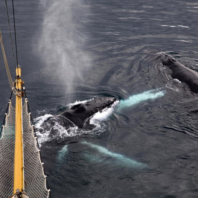 Ilustrativna fotografija