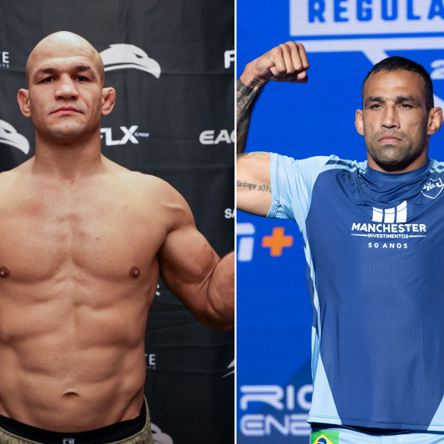 Junior dos Santos i Fabricio Werdum