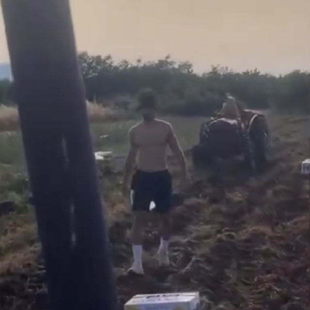Erlić radi na polju svojih roditelja