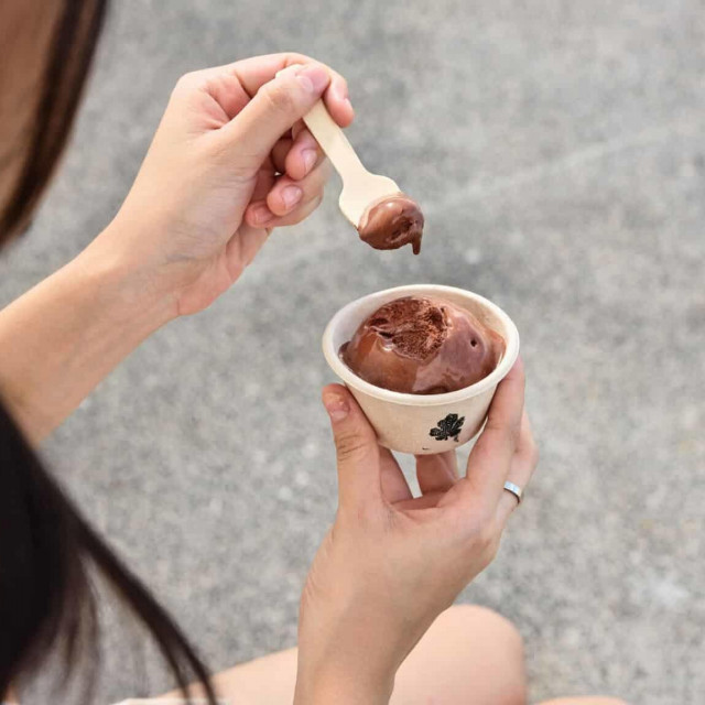 Solein Chocolate Gelato