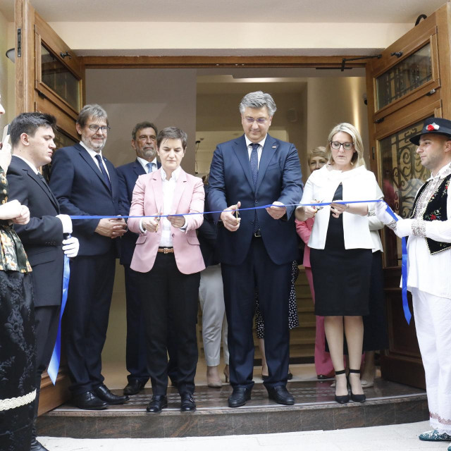 Tomislav Žigmanov, Ana Brnabić i Andrej Plenković