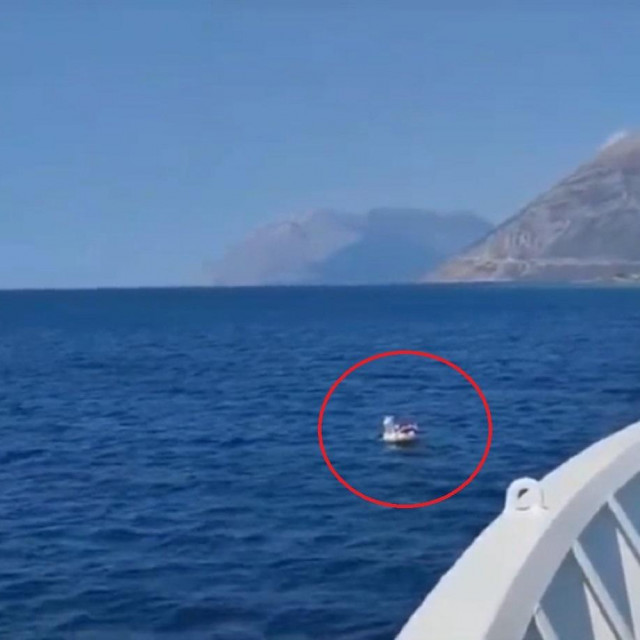 Spašavanje dječaka iz Srbije