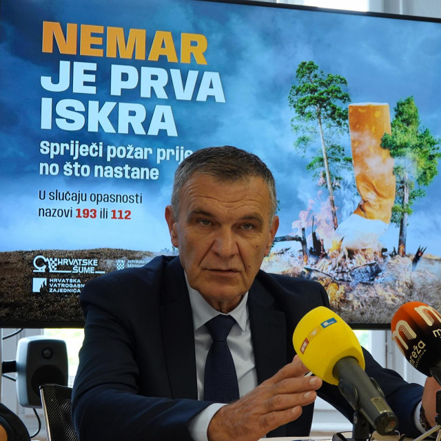 Nediljko Dujic, Hrvatske šume