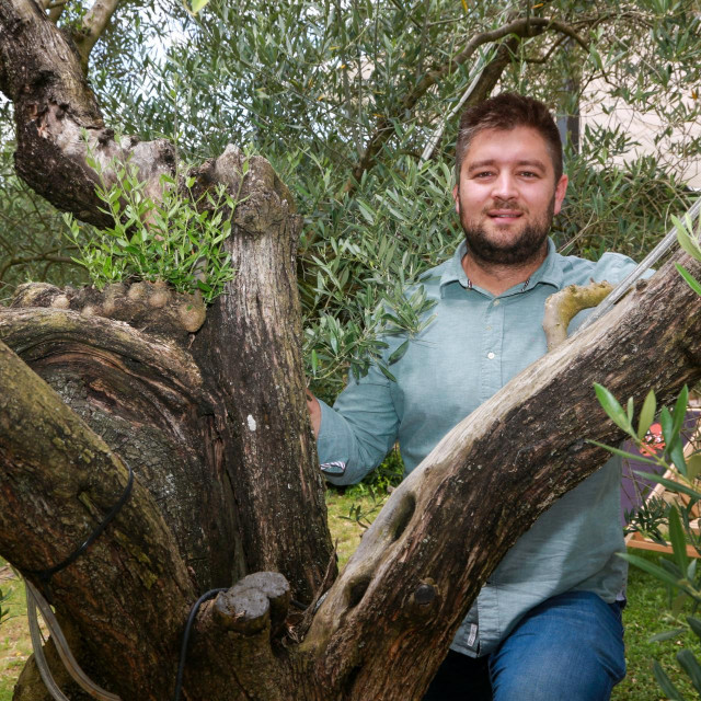 Ivan Ipša