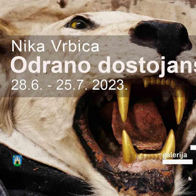 Izložba KIC