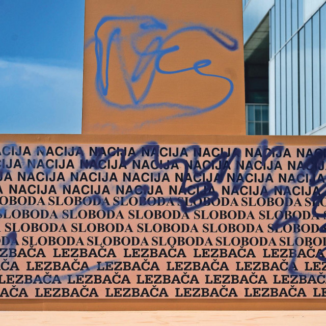 29610699
