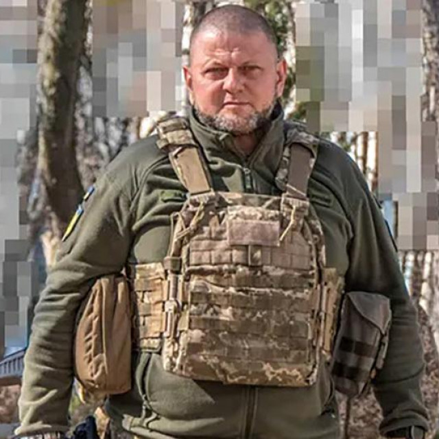 General Valerij Zalužni