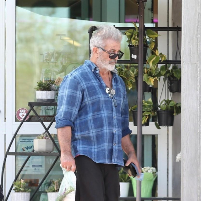Pravi Mel Gibson