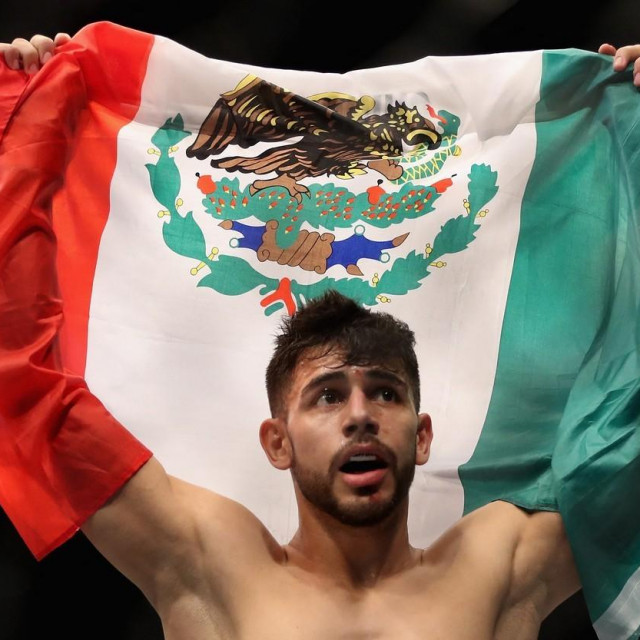 Yair Rodriguez