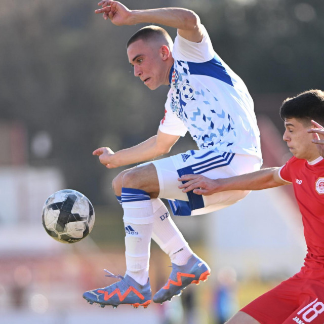 Marko Brkljača (Dinamo)