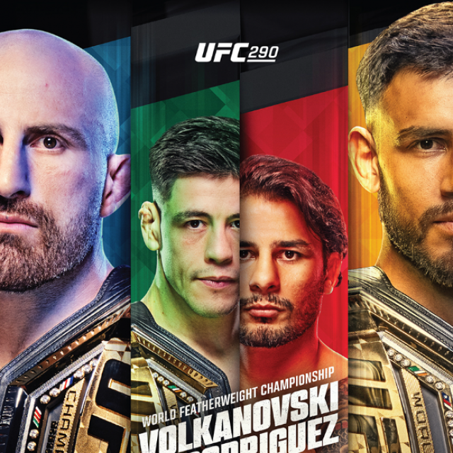 UFC 290