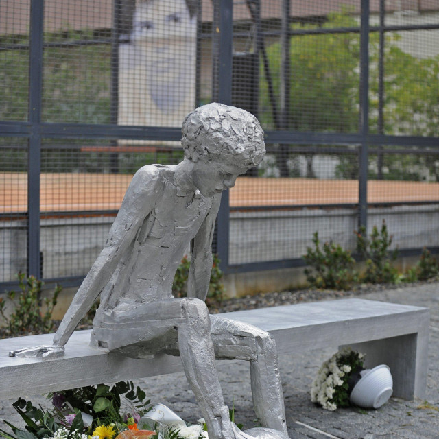 Spomenik Draženu Petroviću, 2014.
