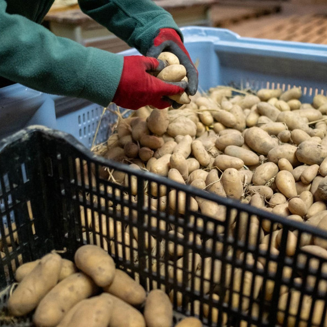 Ilustrativna fotografija