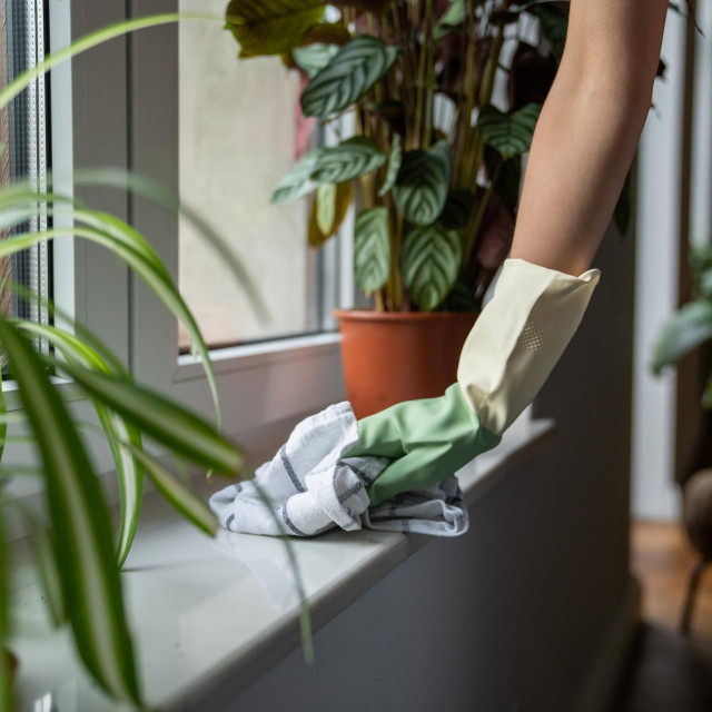 Close up of female hand in rubber glove cleaning dust off window sill, removing dirt from surfaces at home. Woman using cotton cloth to clean windowsill, cleaning apartment