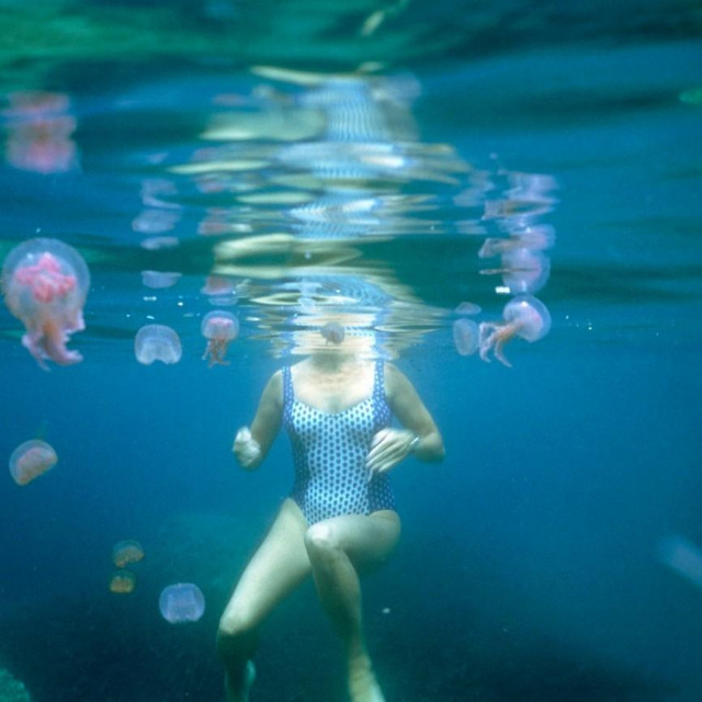 Ilustrativna fotografija Pelagije noctiluce