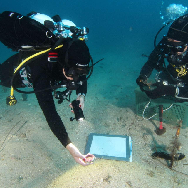 Ronioci pretražuju podmorje