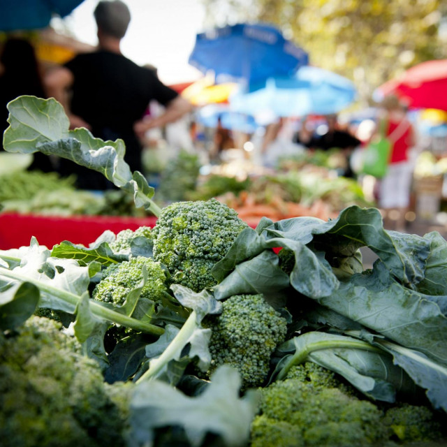 Ilustrativna fotografija
 