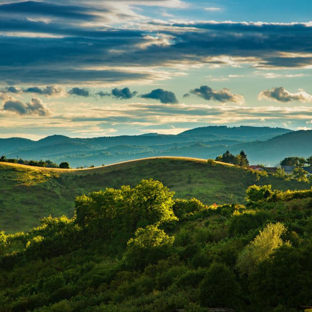Plešivica