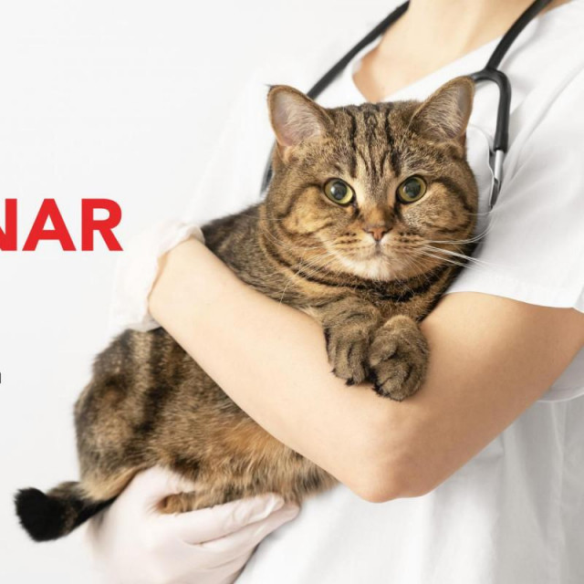 Purina Veterinar u kući
