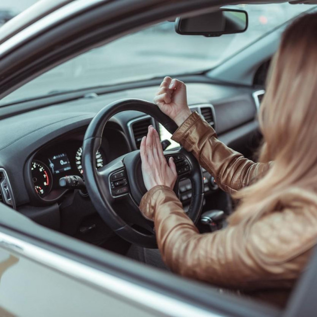 Vozačica (ilustracija)