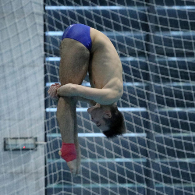 David Ledinski