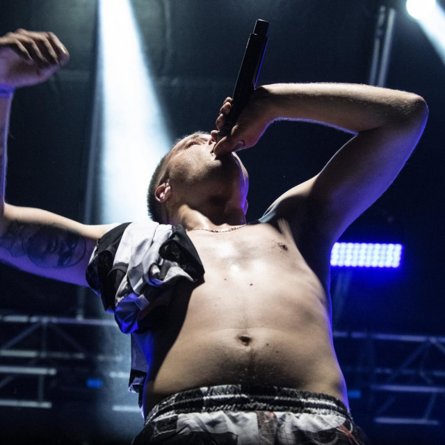 Koncert Grše