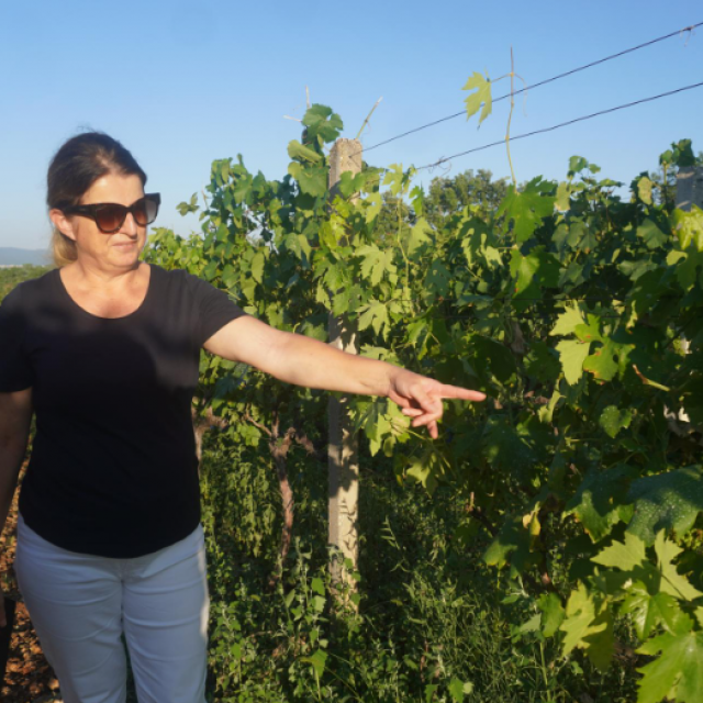 Ljubica pokazuje mjesto na kojem ju je ugrizao poskok