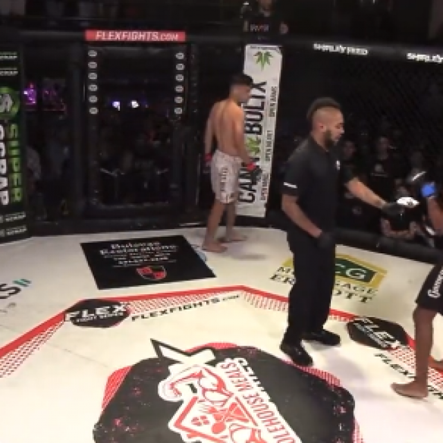White vs. Cox
