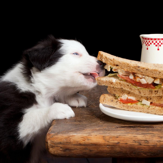 Ilustrativna fotografija