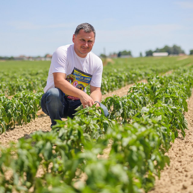 Goran Kovačić, pomoćnik direktora sektora Poljoprivreda u tvrtki Podravka