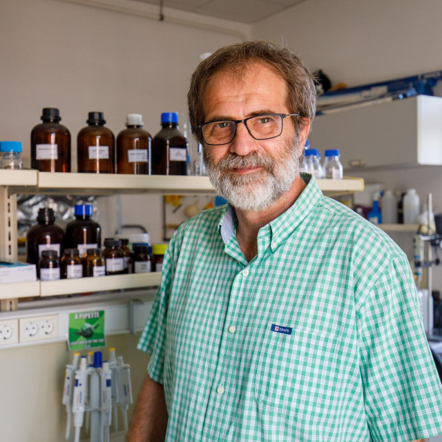 Prof. Branimir Hackenberger

 