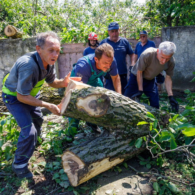 Vatrogasci uklanjaju srušena stabla
 