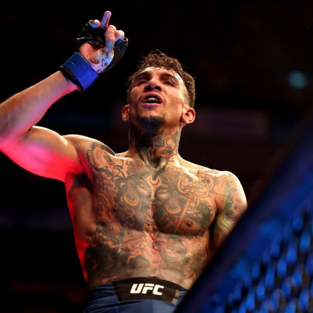 Andre Fili