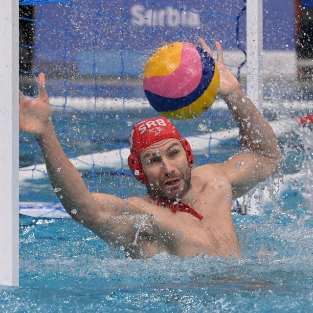 Branislav Mitrović
